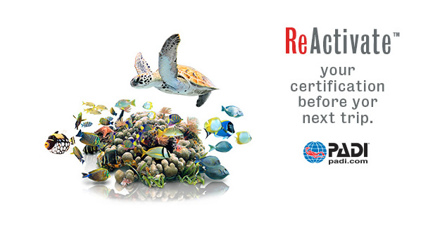 Reactivate your PADI Certification